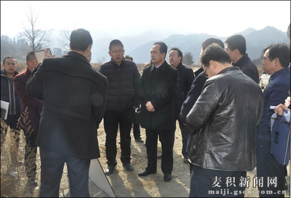 督查百花小镇项目建设情况 督查百花小镇项目建设情况
